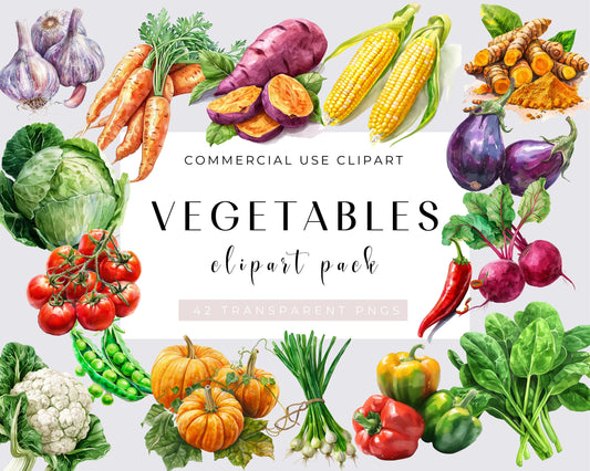 40 Watercolor Vegetables PNG Clipart Bundle, Famer clipart, farm, market clipart, Vegetable Illustrations, Farm Clipart | Commercial Use