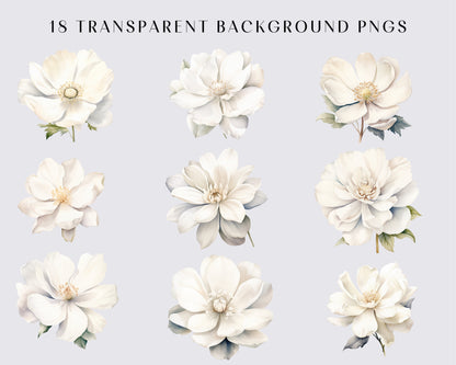 WHITE FLOWERS - 18 Cliparts (high resolution, commercial use, floral, nature, wedding flower, png, watercolor, bundle)