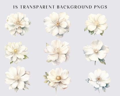 WHITE FLOWERS - 18 Cliparts (high resolution, commercial use, floral, nature, wedding flower, png, watercolor, bundle)