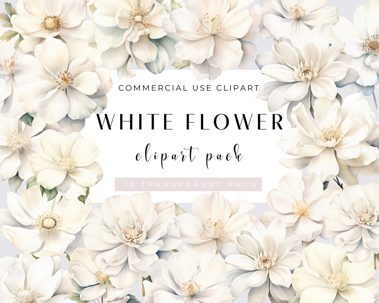 WHITE FLOWERS - 18 Cliparts (high resolution, commercial use, floral, nature, wedding flower, png, watercolor, bundle)