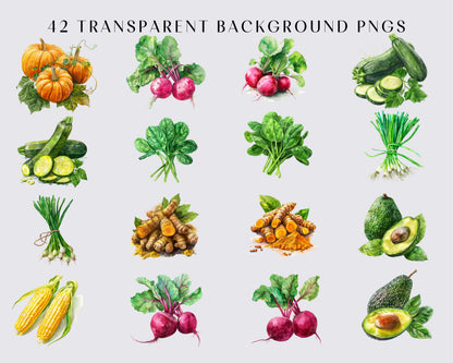 40 Watercolor Vegetables PNG Clipart Bundle, Famer clipart, farm, market clipart, Vegetable Illustrations, Farm Clipart | Commercial Use