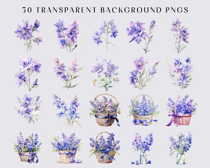 Watercolor Larkspur Clipart - Spring wedding flowers, Floral, Flower clipart, 30 PNGs, Instant download, Commercial use